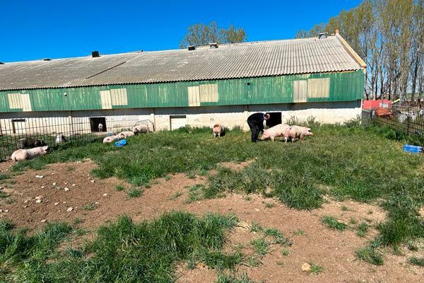 Economía rural